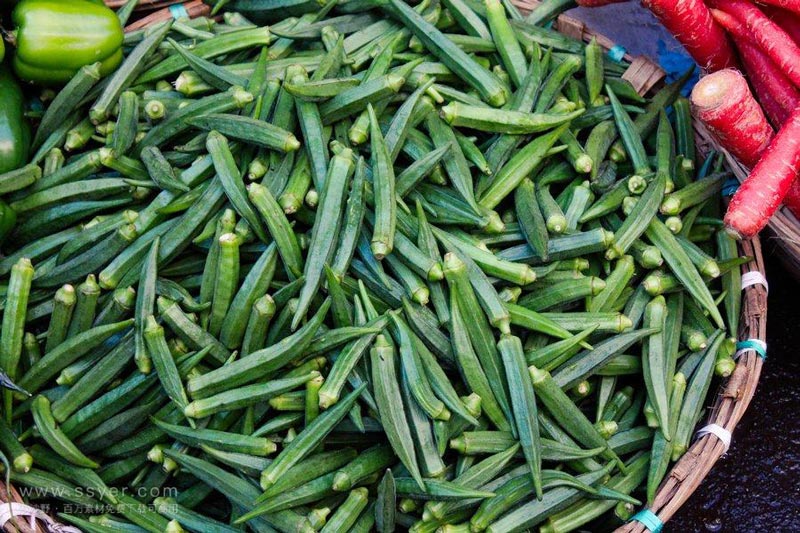 秋葵:論一代“網(wǎng)紅蔬菜”的興起之路 秋葵:論一代“網(wǎng)紅蔬菜”的興起之路